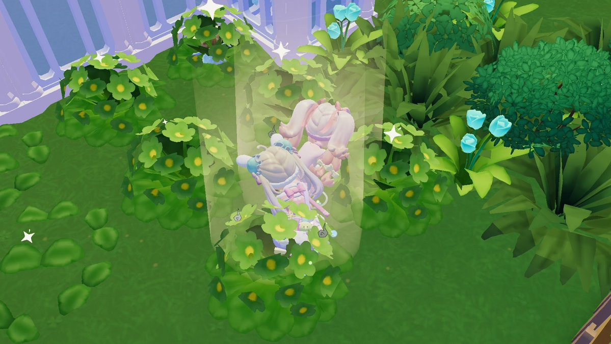 ねこ🐈‍⬛ tweet media