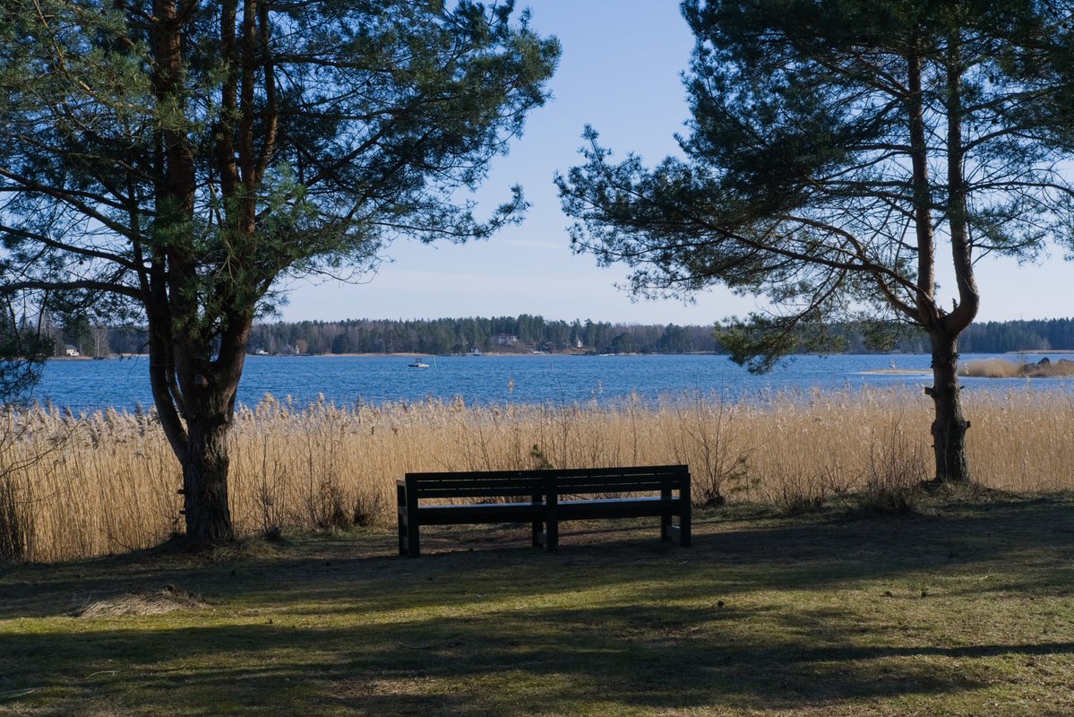 ☭⬌☠ tweet media