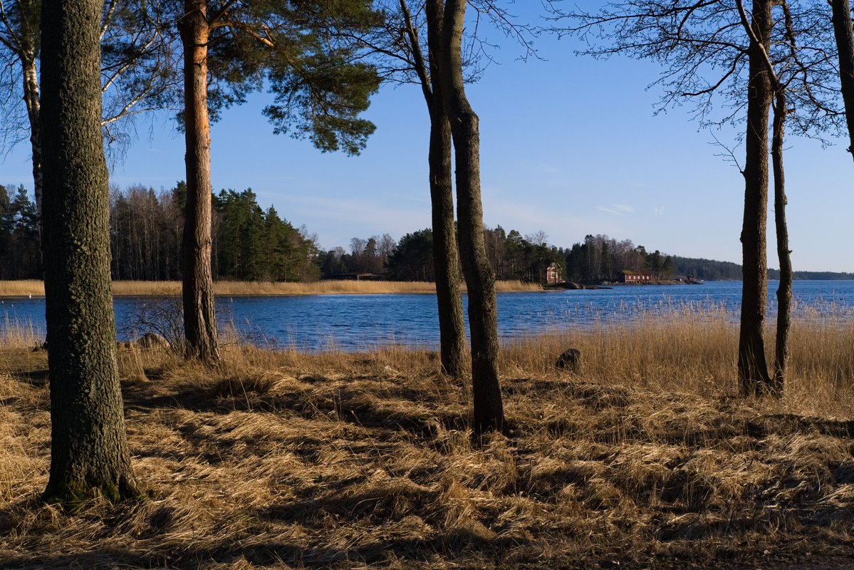 ☭⬌☠ tweet media