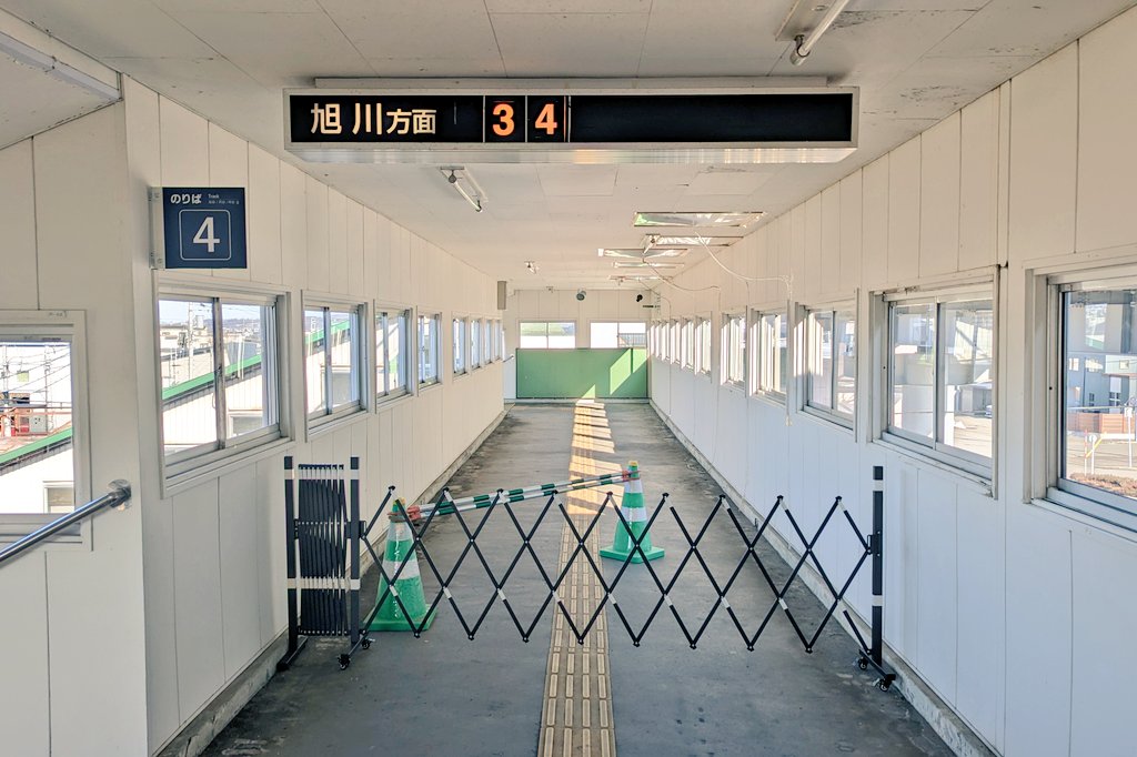 マリマリ tweet media