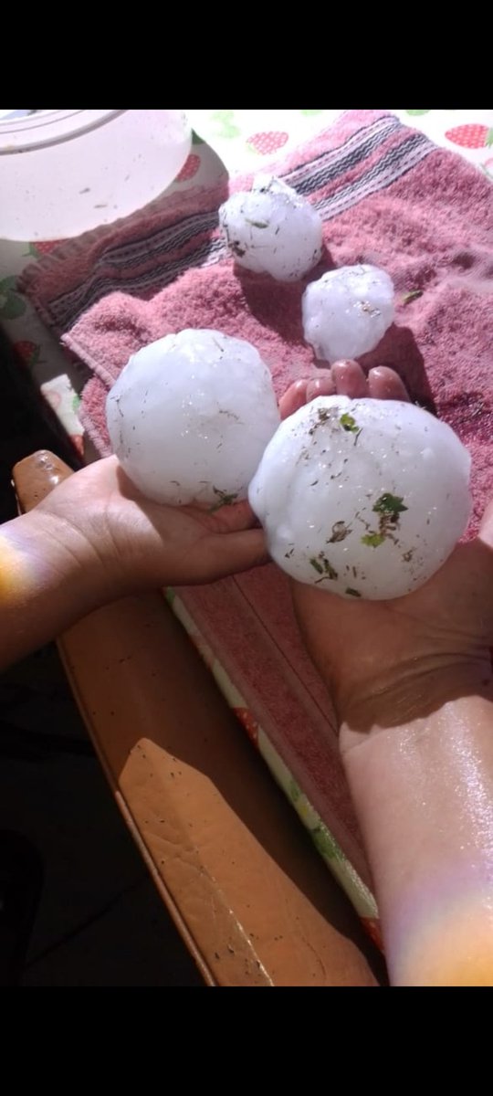 Carlanevill tweet media