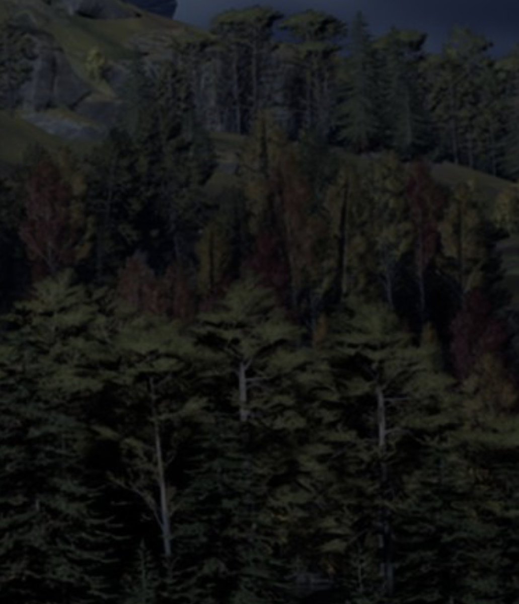 Dragonball Bloorag tweet media