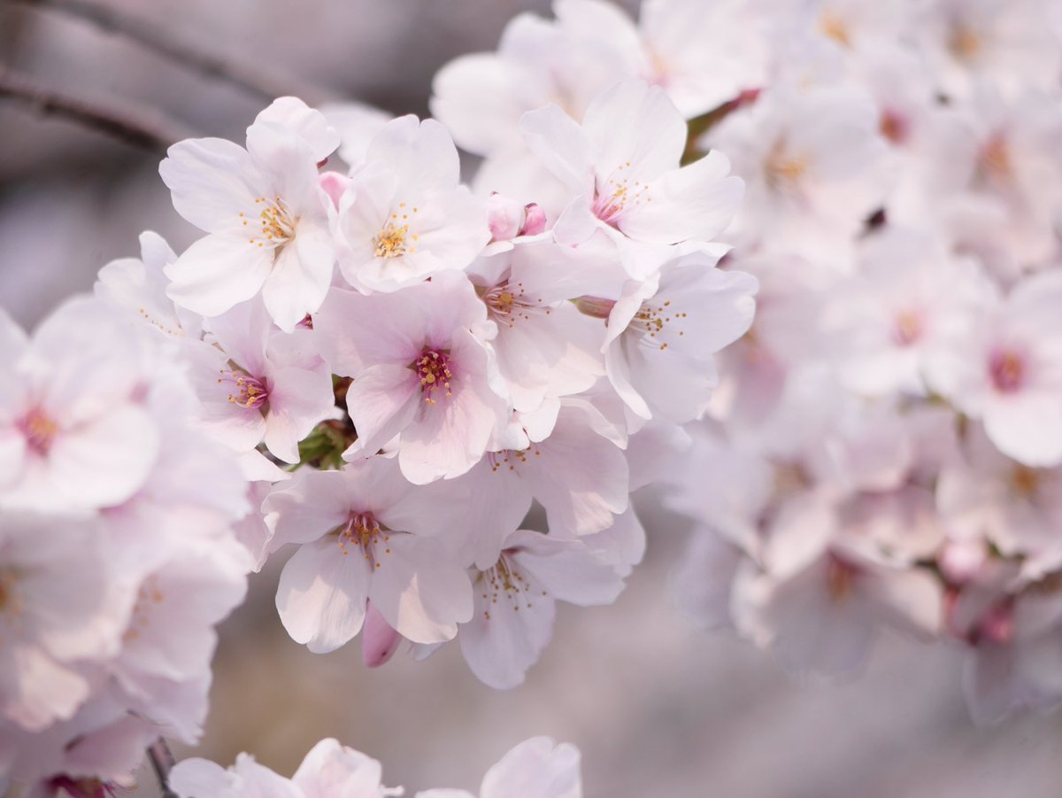 七尾 太一 tweet media