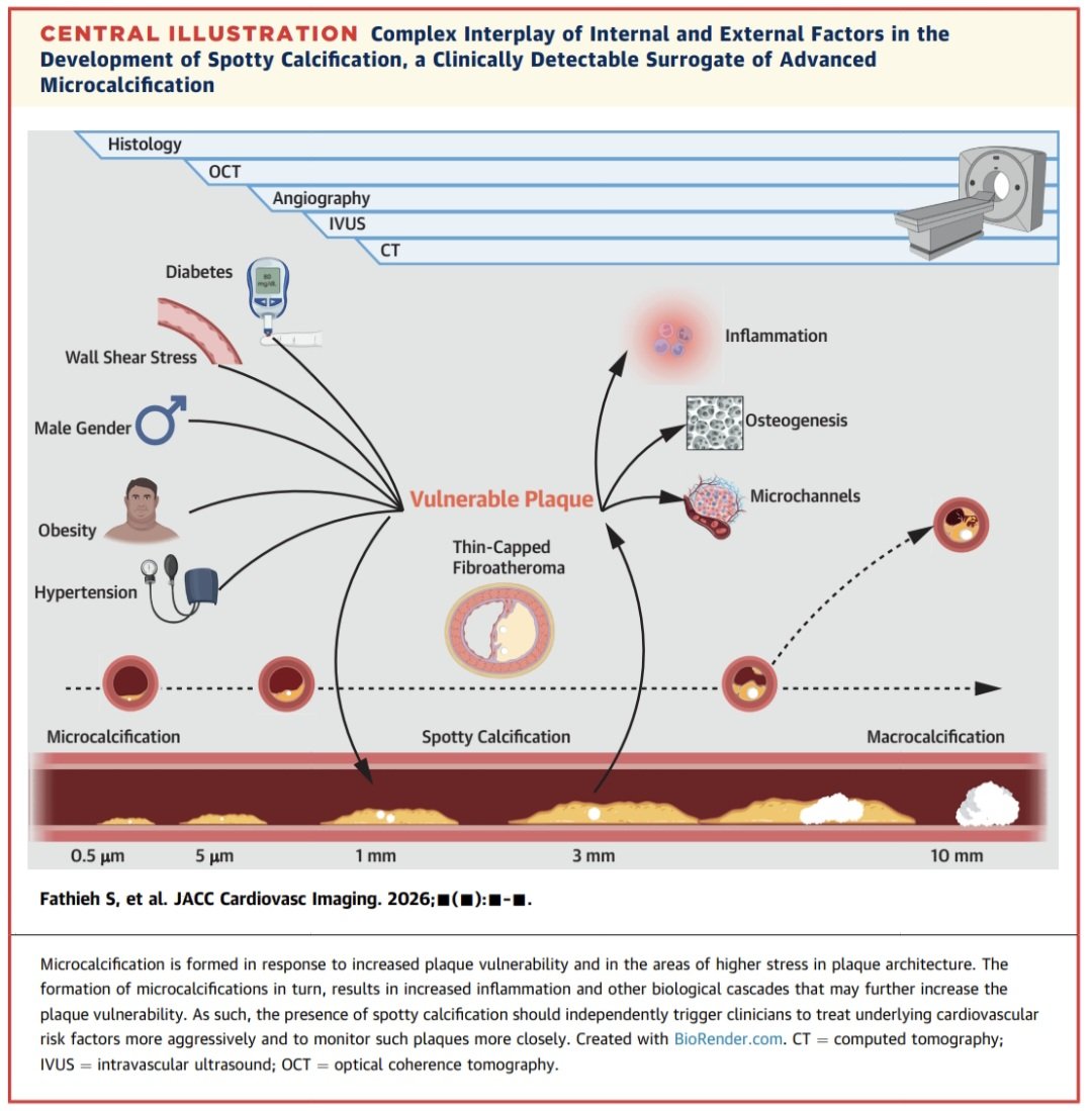 Dr. FEVI🫀🩺 tweet media