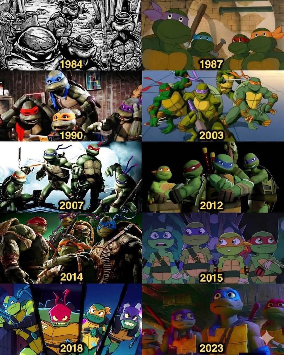 Turtle_Lair tweet media