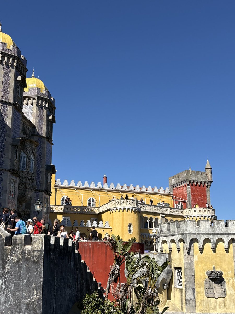 レモンライム tweet media