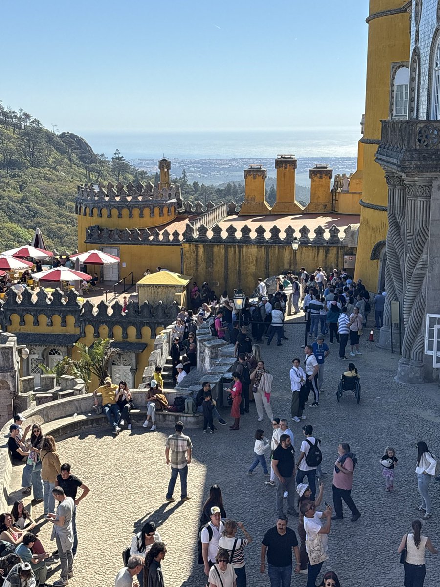 レモンライム tweet media