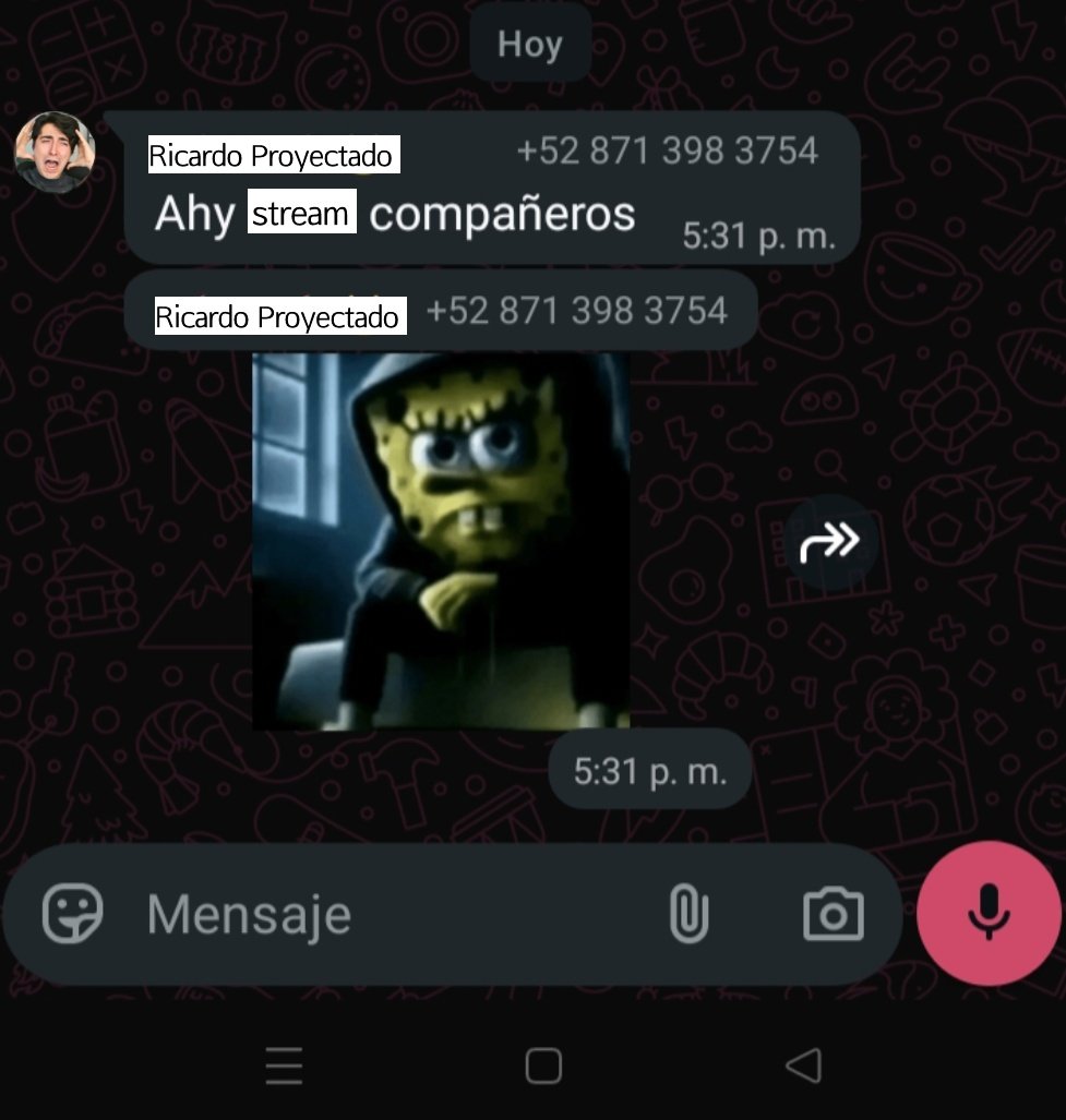 Noimporta_lit's tweet photo. @ricardoalcarazp Lo vuelvo a subir porque el Ricaca no lo vió el stream pasado (mi humilde aportación con un horror ortográfico q vi por si te lo quieres robar) https://t.co/sGZr2v4lPV