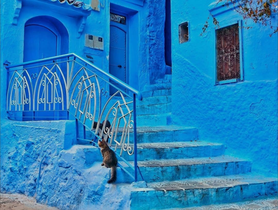 Mr.Jarut Ajar tweet media