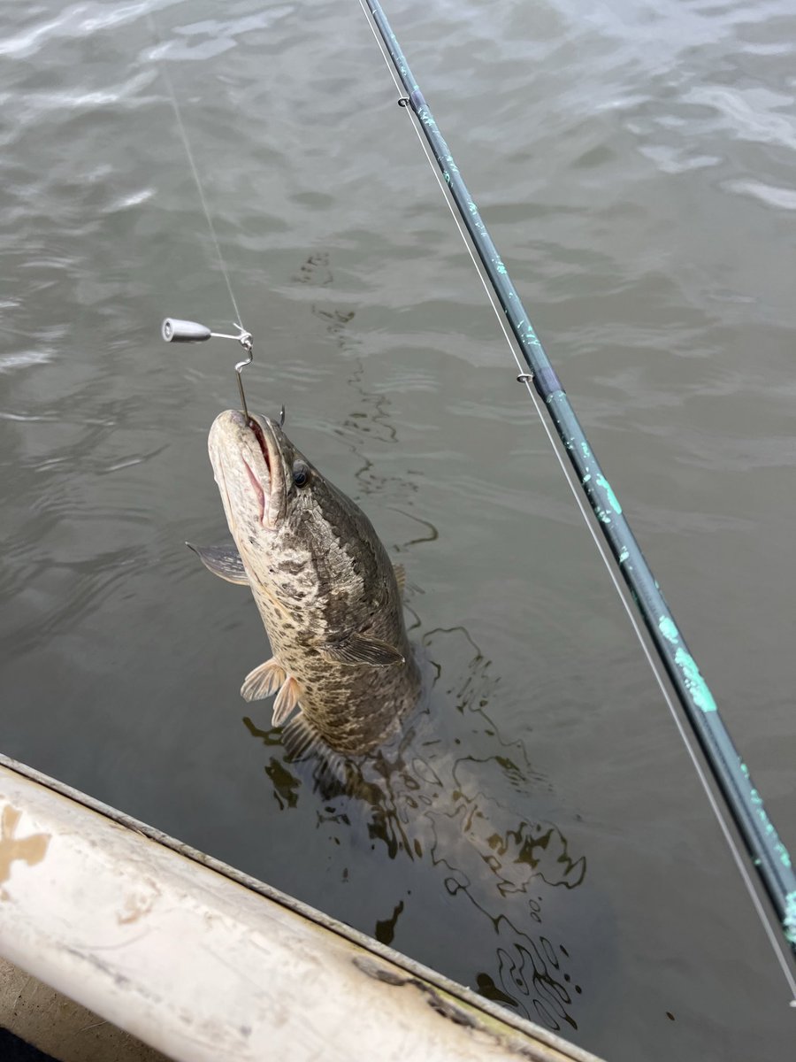 鶴岡克芳 tweet media