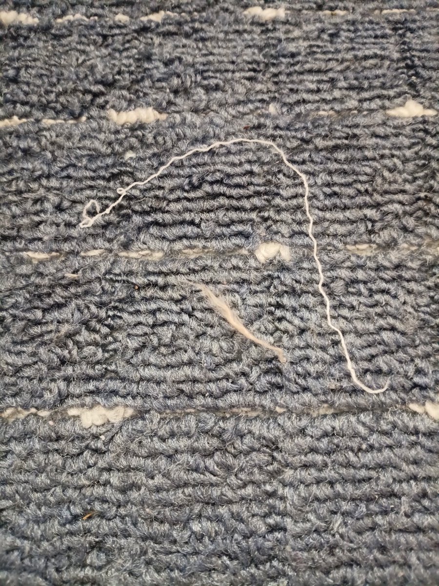 おばちゃん tweet media