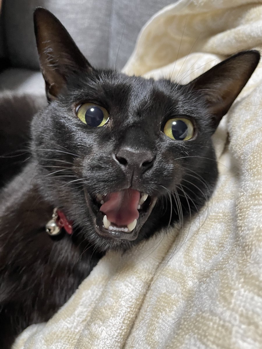 MORNING BOOOOOOST tweet media