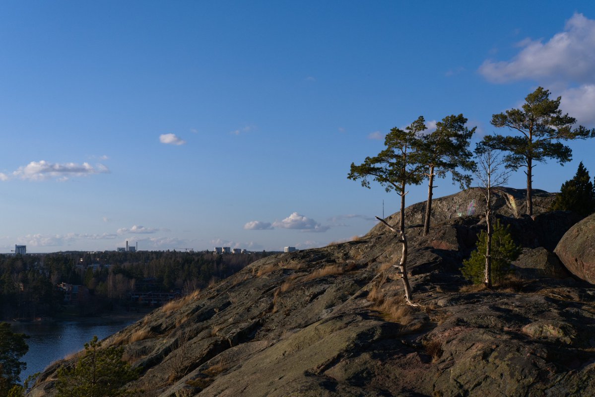 ☭⬌☠ tweet media