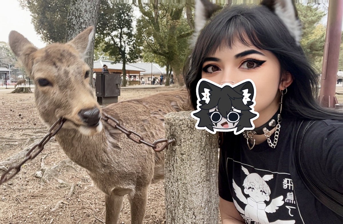 𝐊𝐀𝐑𝐎𝐔𝐒𝐄𝐋 | Harlequin Wolf⛓️🎪 tweet media