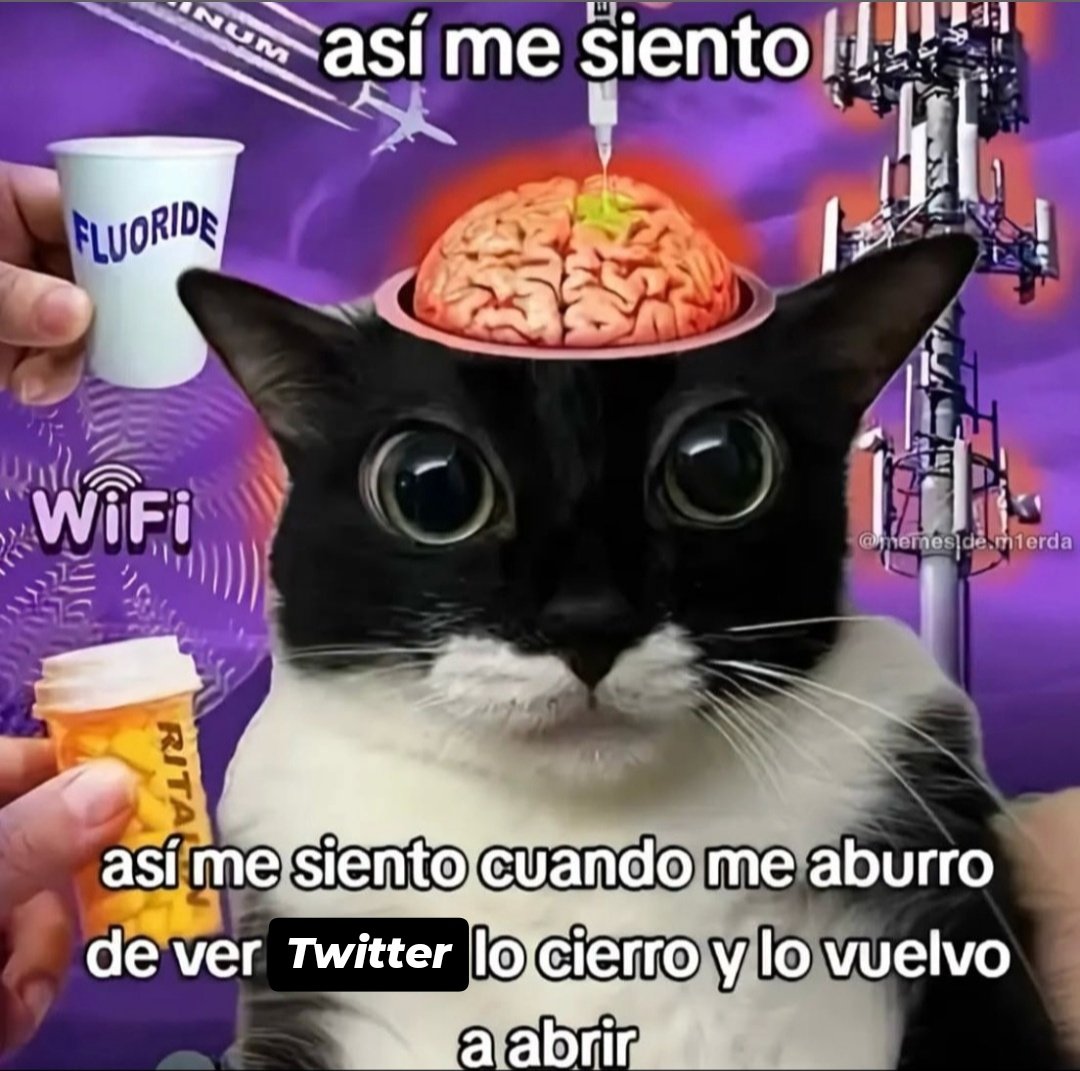 Clov! 🍉 tweet media