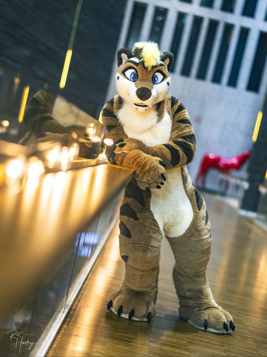 Kyo, but Fluffy 🔜 FWA tweet media