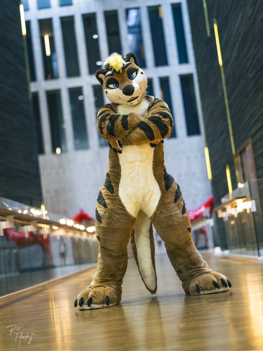 Kyo, but Fluffy 🔜 FWA tweet media