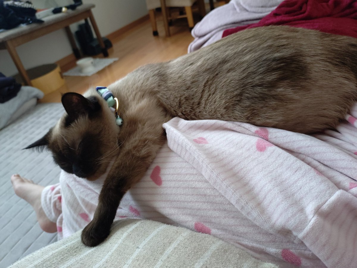 なな@病み垢 tweet media