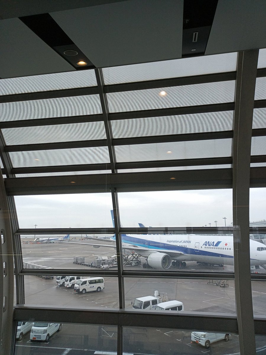 Shinichi a_BEAR tweet media