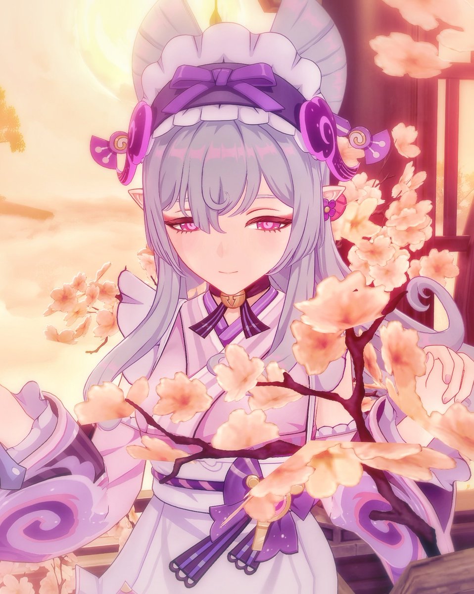 さくぱけ‎꜀( ꜆-ࡇ-)꜆📸原神 tweet media