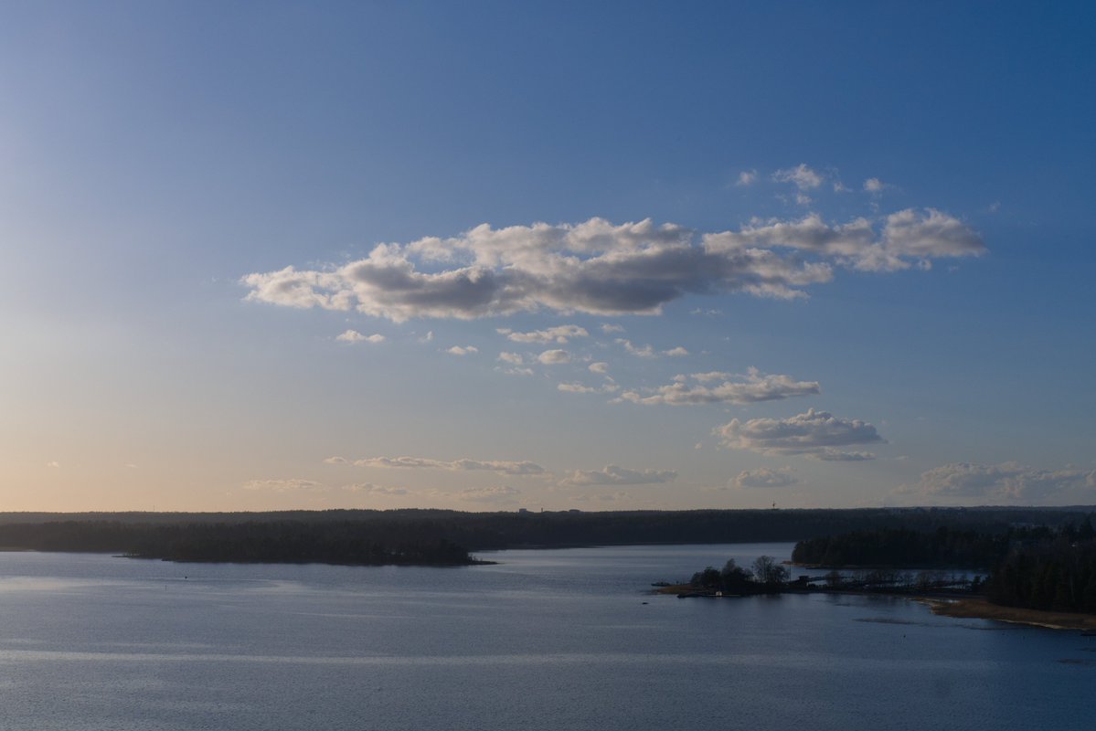 ☭⬌☠ tweet media