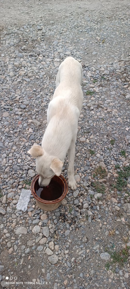 J. E. T. 🦉 😈 tweet media