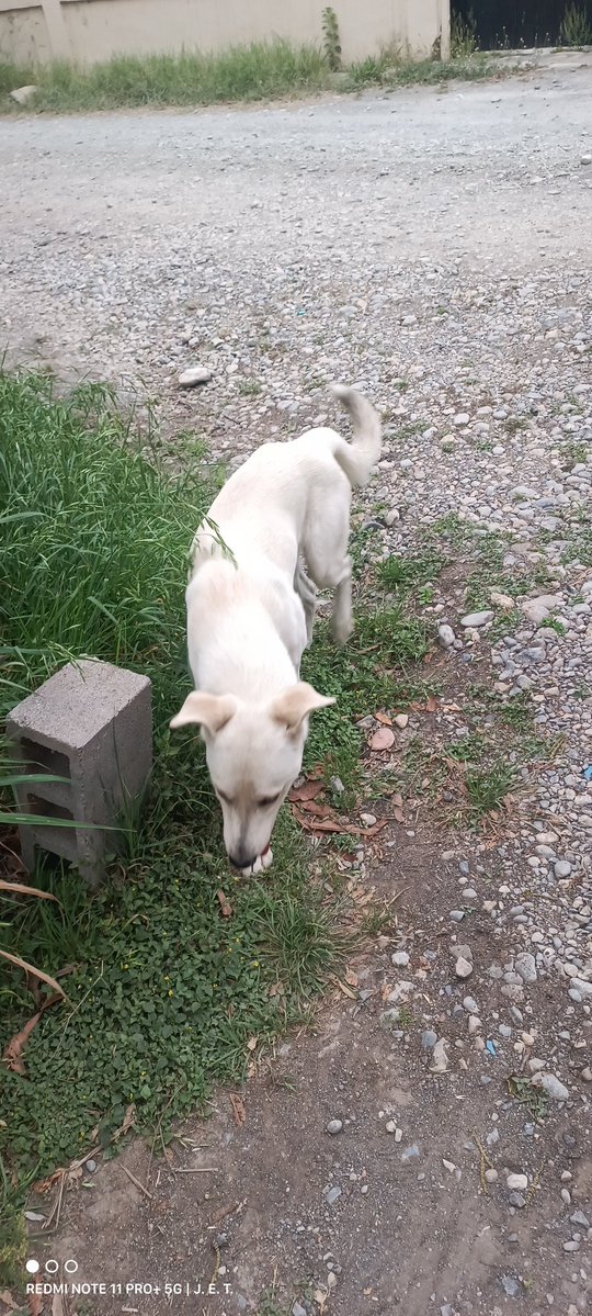 J. E. T. 🦉 😈 tweet media