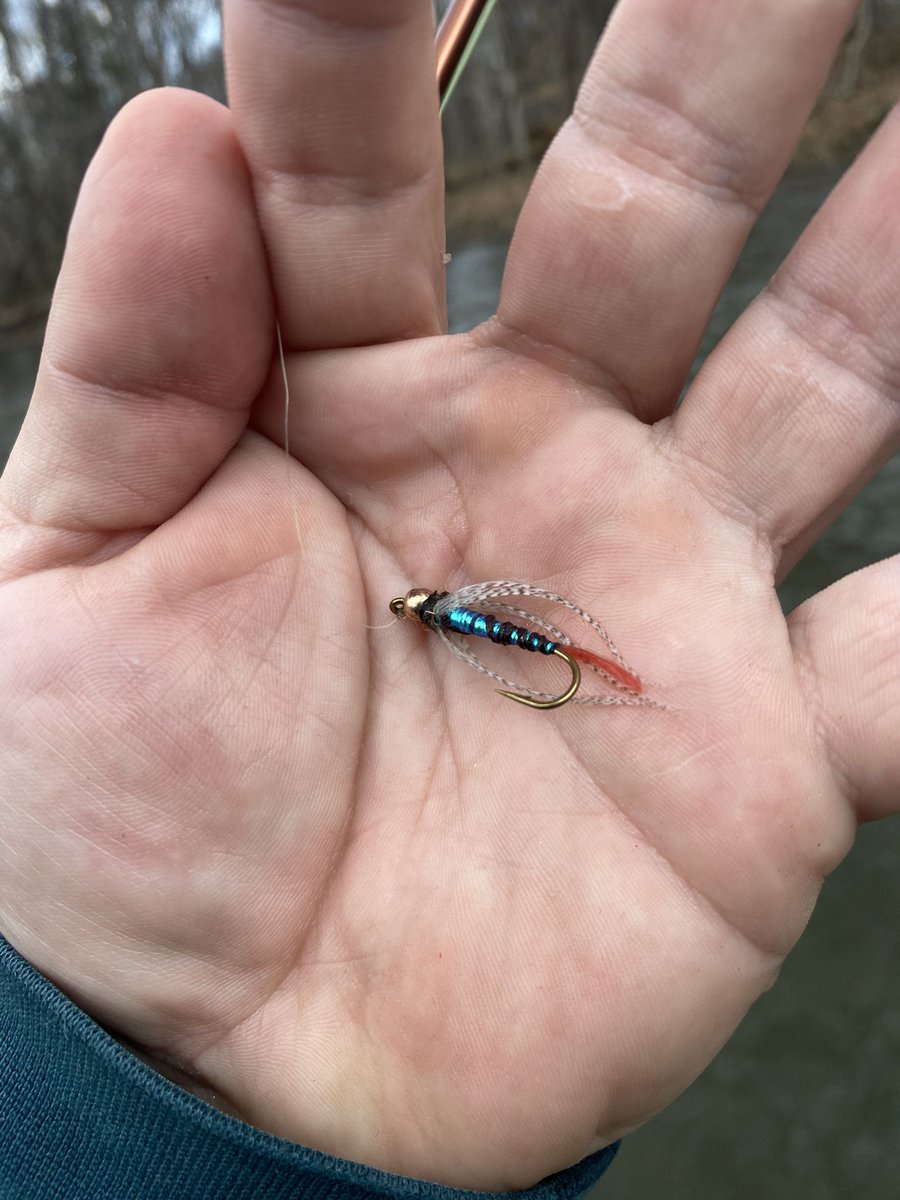 Górski Lion tweet media