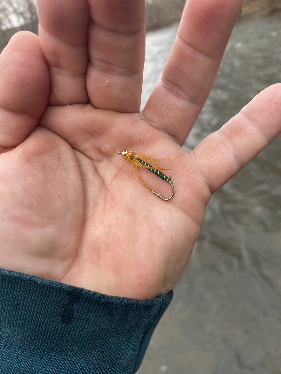 Górski Lion tweet media