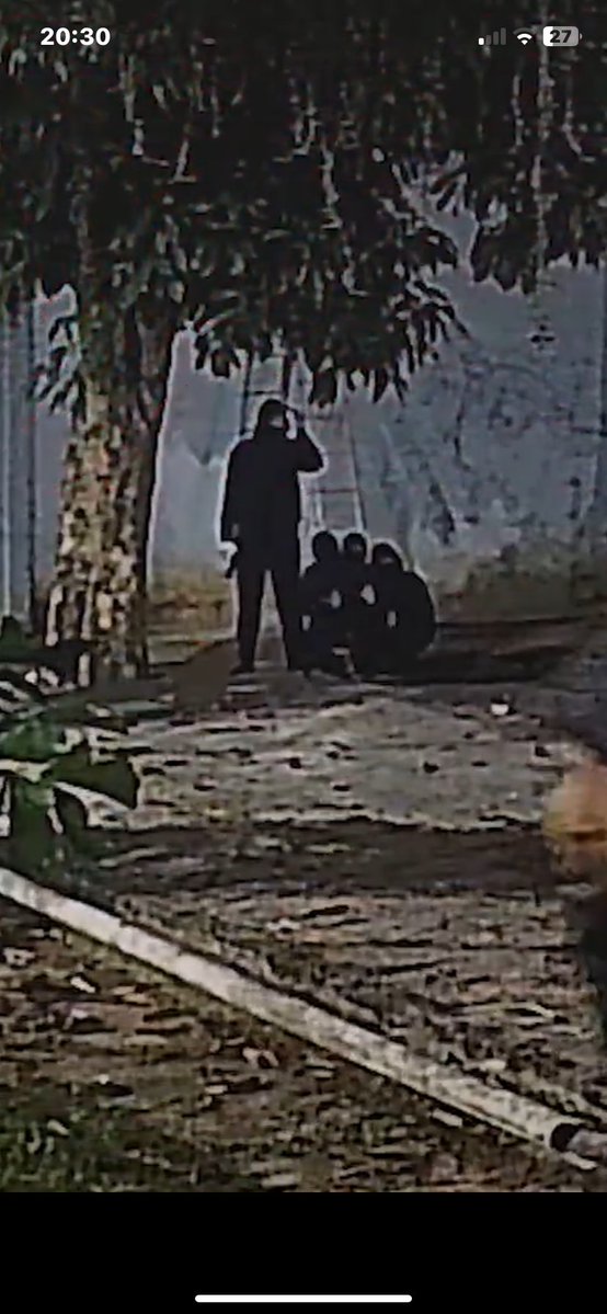 Rphv4x🏆🇦🇴 tweet media