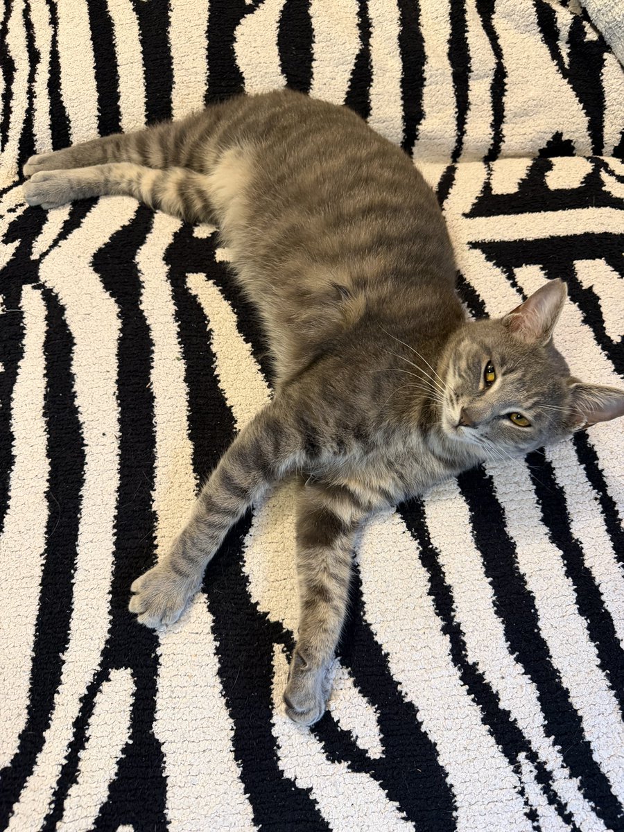 yo_hey_ito tweet media