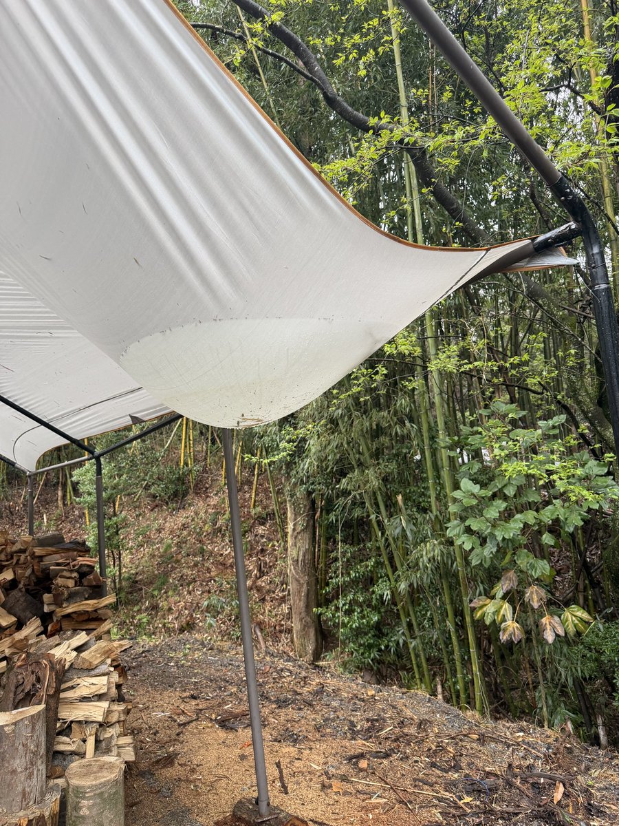 yo_hey_ito tweet media