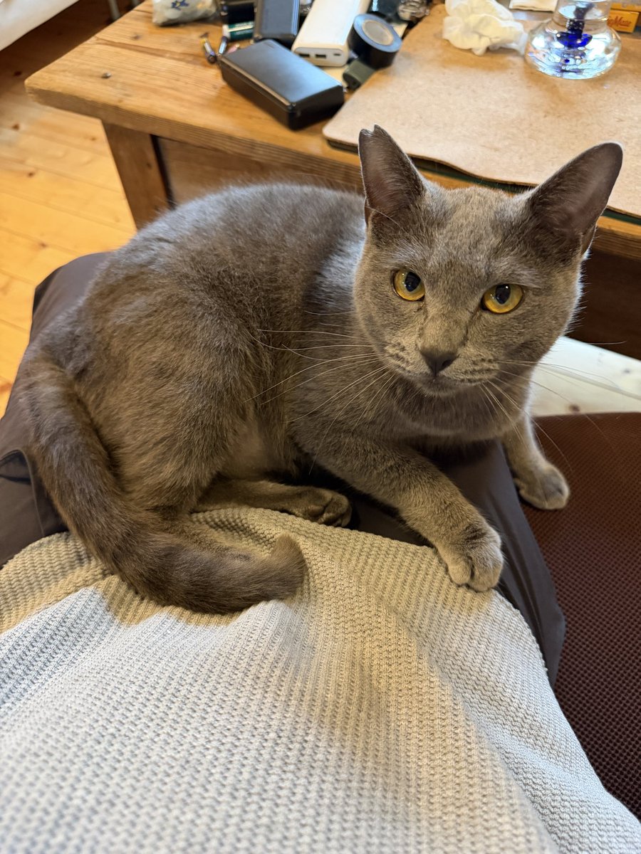 yo_hey_ito tweet media