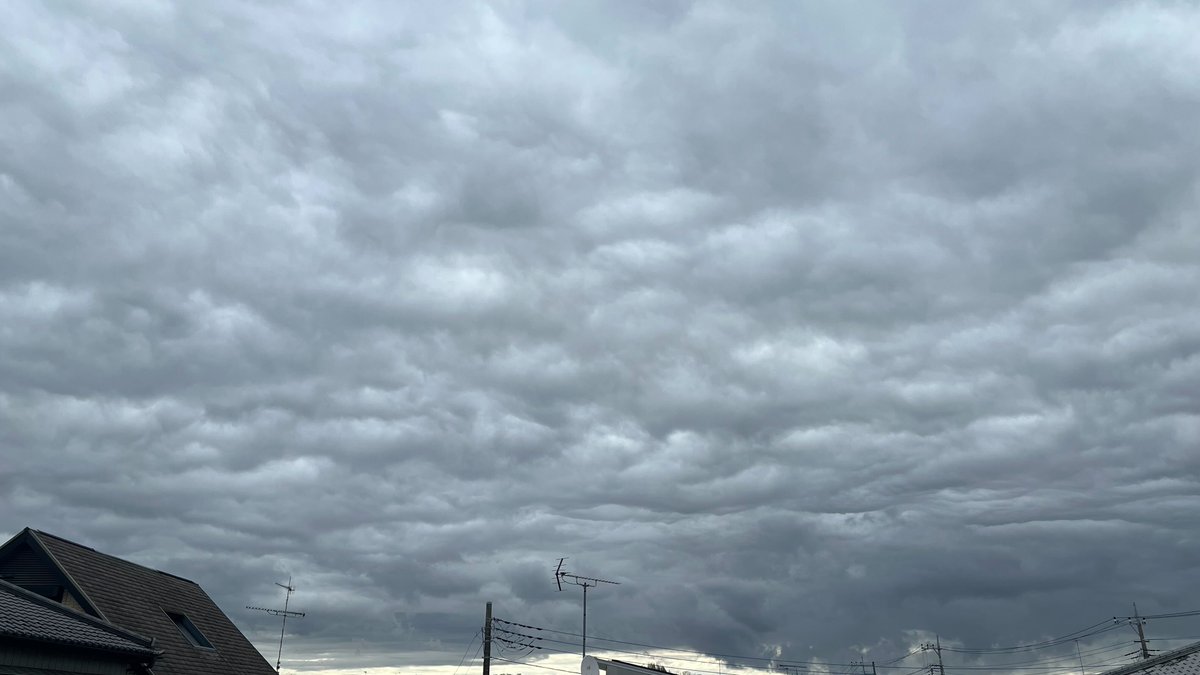 (株)エンボリック【公式】 tweet media