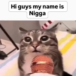 brainrot dimension tweet media