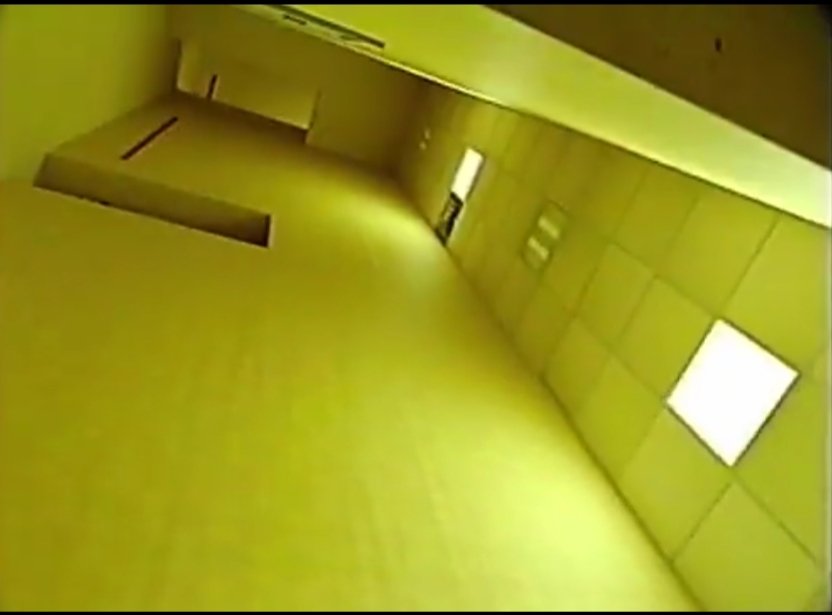 Coconut Toast tweet media