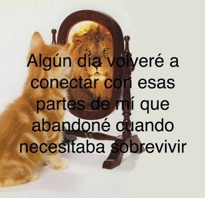 bauldefrases tweet media