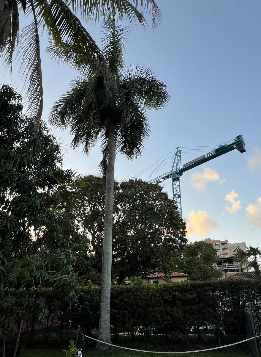 Emilio T. González, Ph.D. tweet media