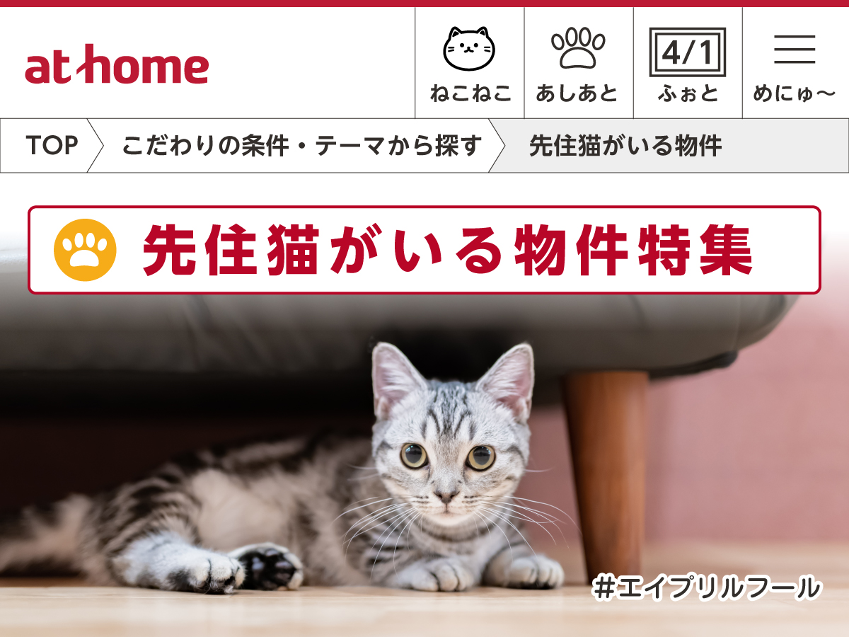 athome_co's tweet photo. 【New】 
アットホームでは「先住猫がいる物件特集」を公開しました。 
すでに猫が住んでいる物件に、 
あなたが“新入り”として住む新しい暮らしの提案です🐈
 
※敷金・礼金：おやつ12か月分
※入居審査：先住猫が実施
※設備：ソファ（爪とぎ用）
 
#エイプリルフール https://t.co/1pIwfotKH7