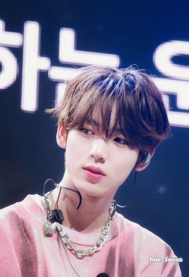 hao_focus tweet media