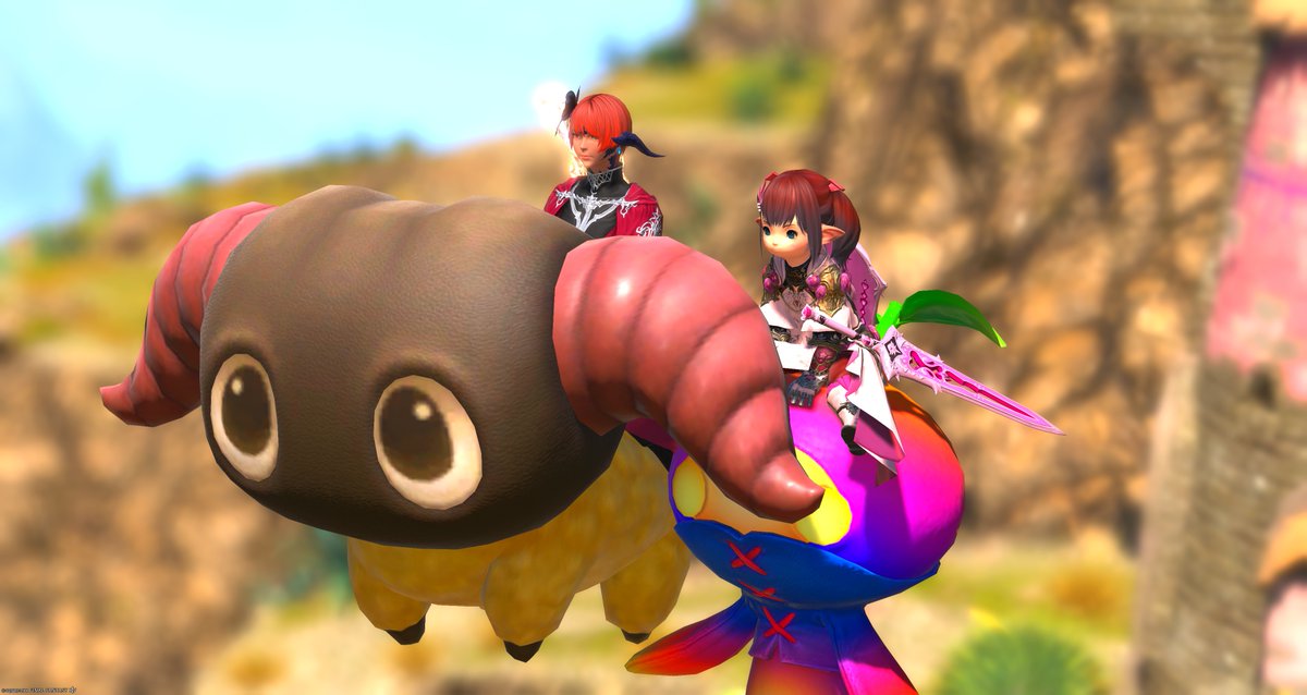 シィ【☽】 tweet media