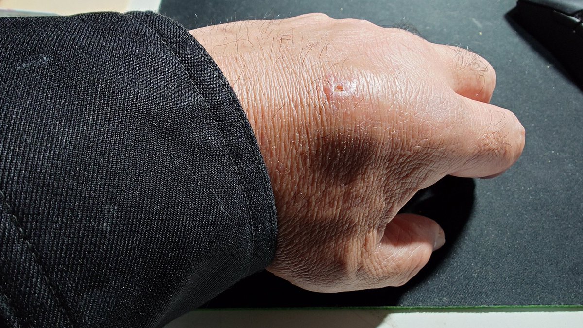 もっち＠オフレッサー上級大将 tweet media