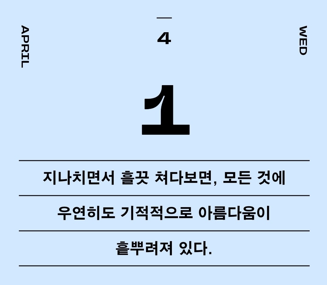 살루테 tweet media