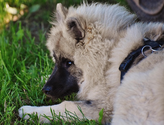 Edward Watts tweet media