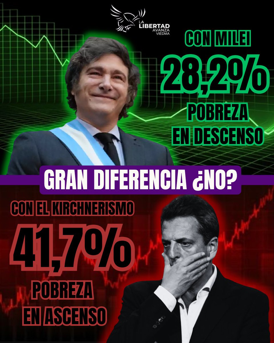 Ivi_Franco 🦁 tweet media