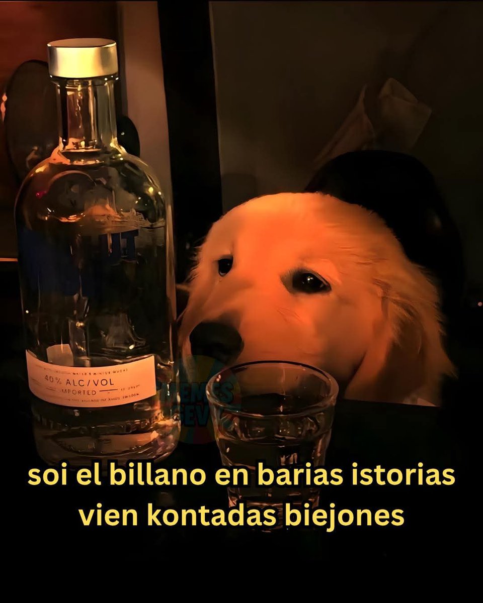 bauldefrases tweet media