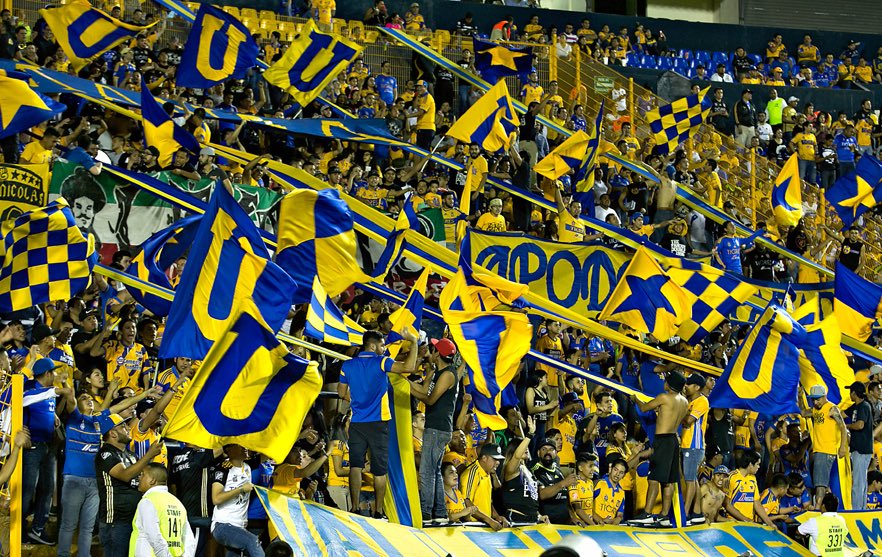 Xavier Sol la Lande tweet media