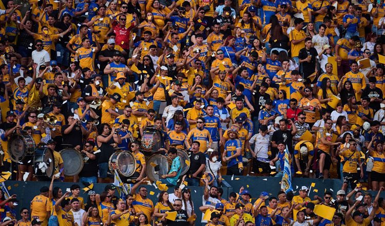 Xavier Sol la Lande tweet media