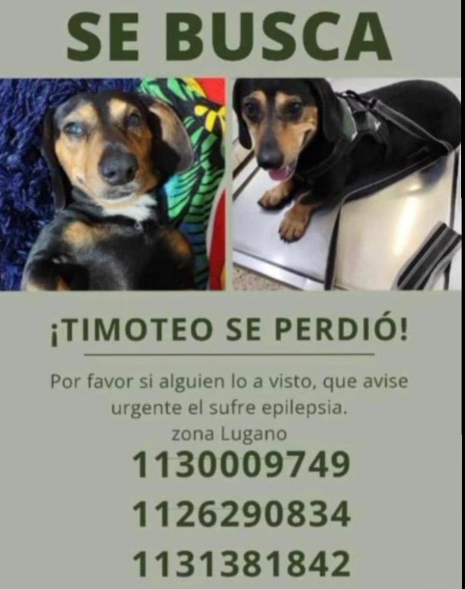 paraellostodo's tweet photo. https://t.co/xPfStHKndB