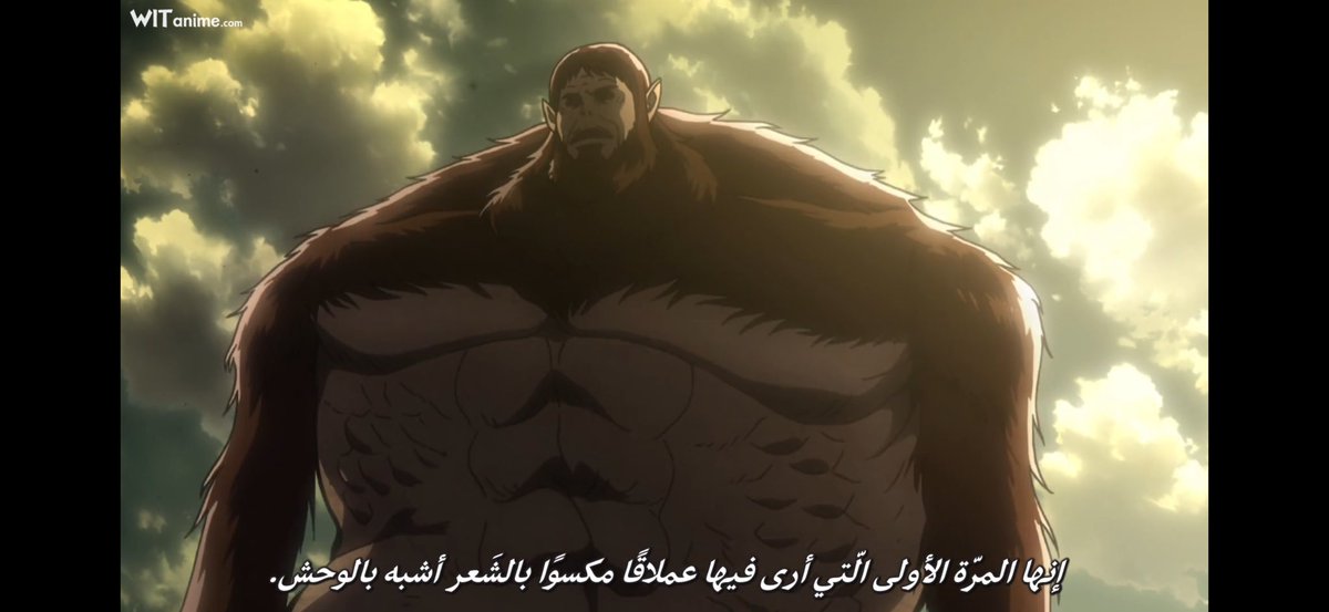 Aurora ⚘ tweet media